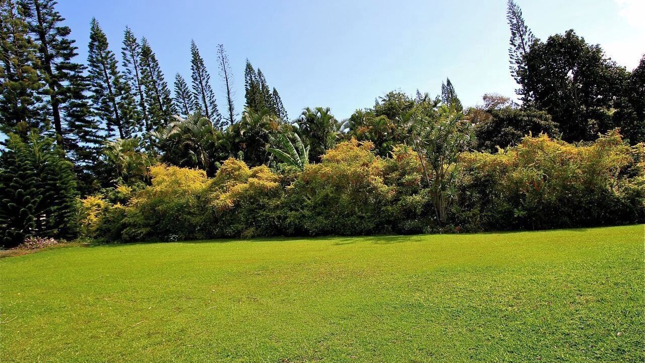 Photo of Others in Pupukea