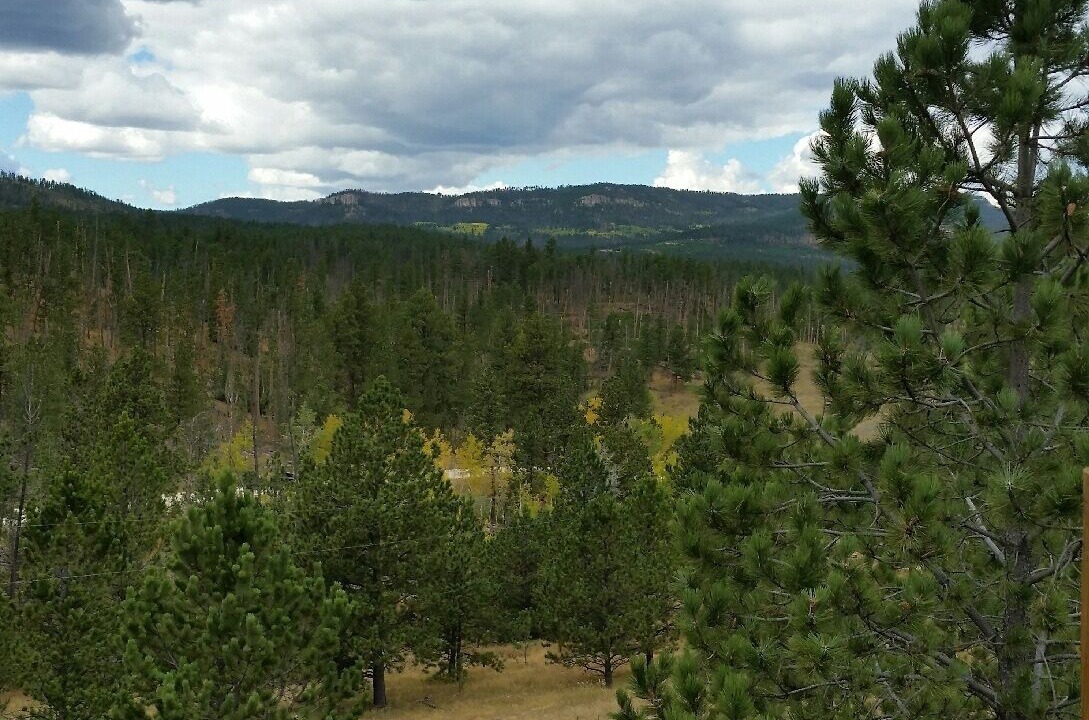 Photo of Others in Hill City