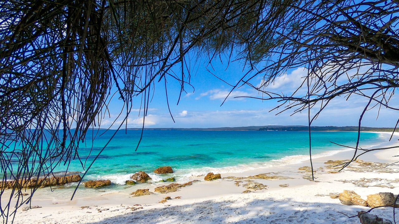 Photo of Others in Hyams Beach