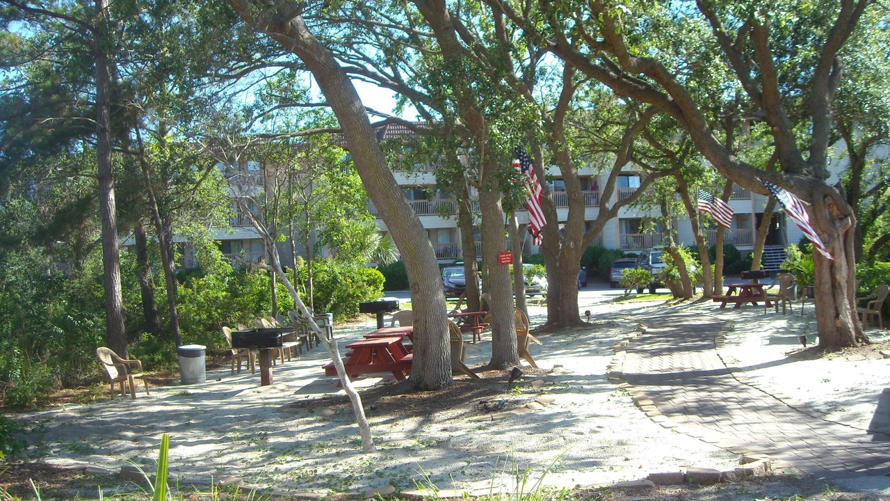 Photo of Others in Folly Field