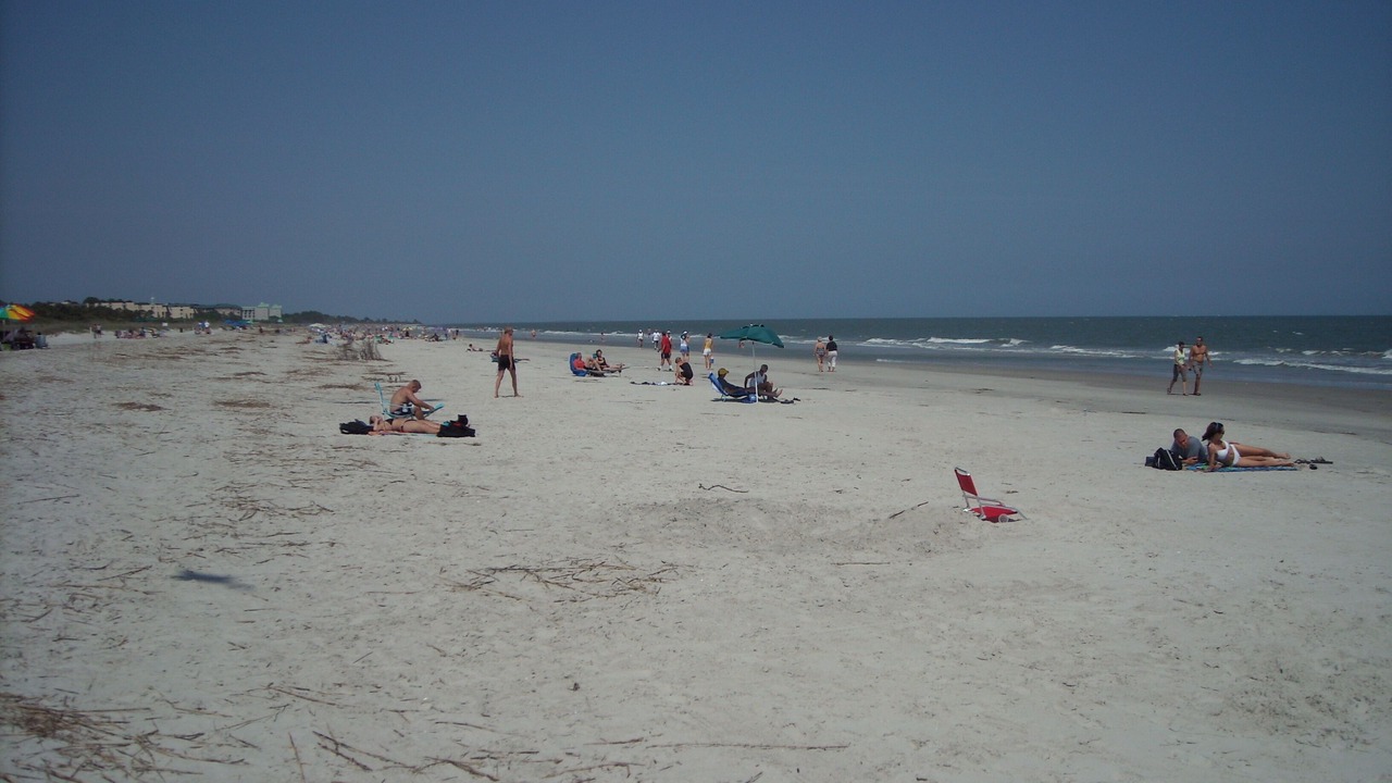 Photo of Others in Folly Field