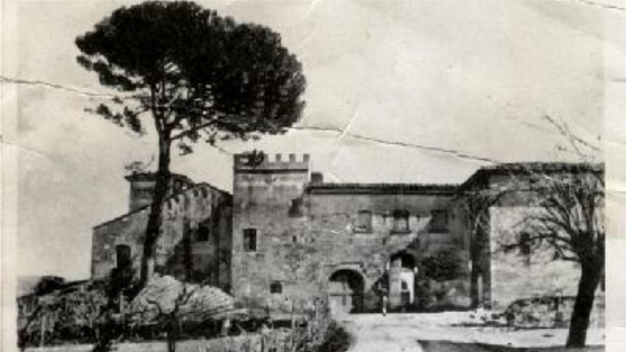 Photo of Others in Canonica