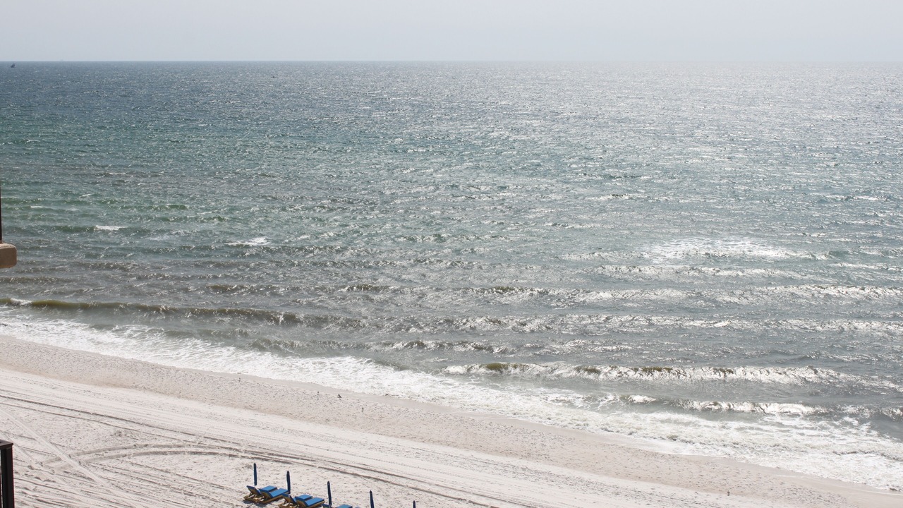 Photo of Others in Gulf Lagoon Beach
