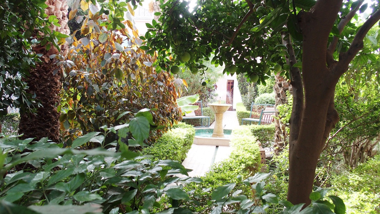 Photo of Outdoor in Taroudannt