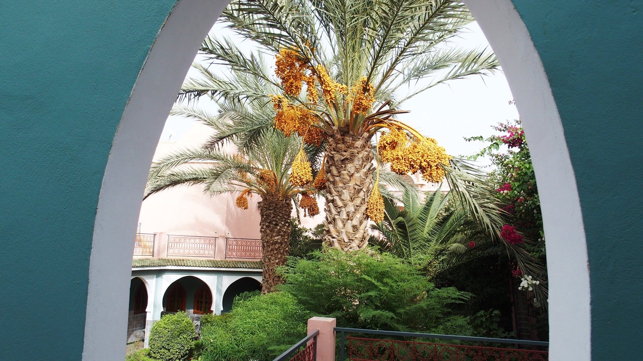 Photo of Outdoor in Taroudannt