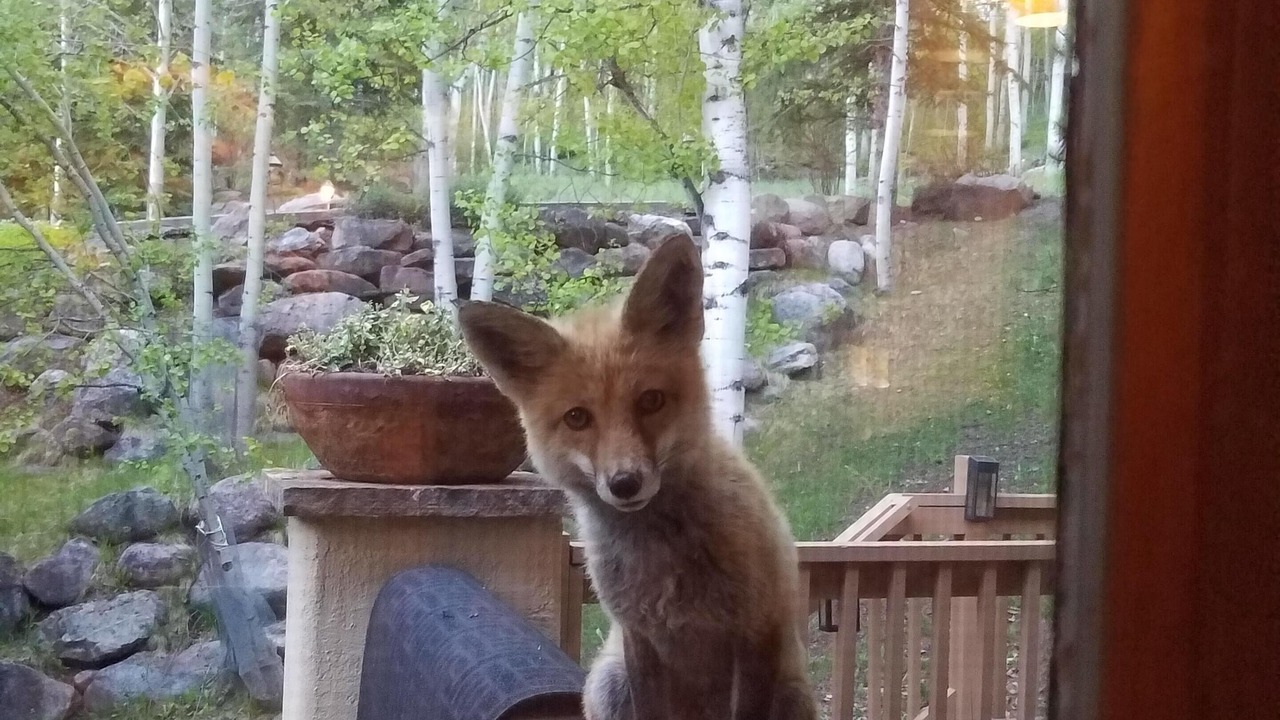 Photo of Others in Vail