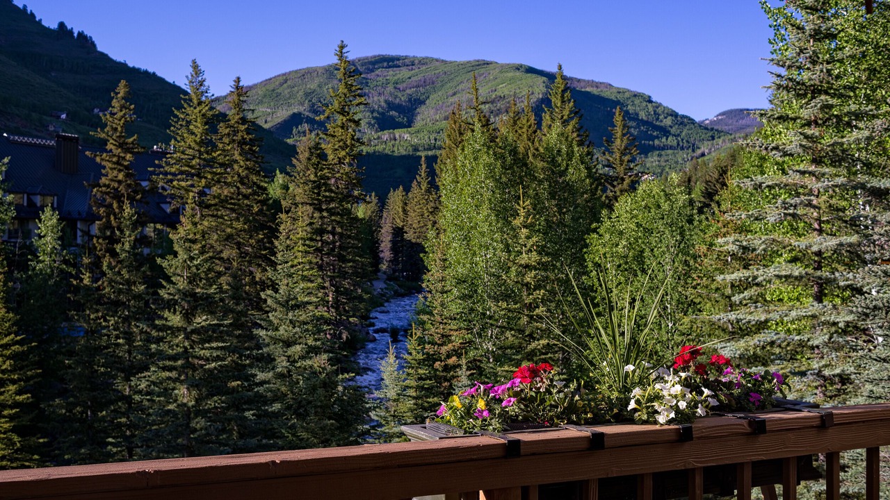Photo of Others in Vail