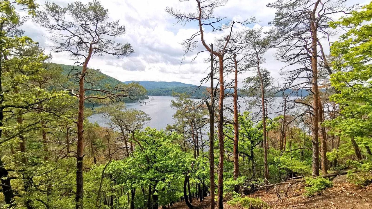 Photo of Outdoor in Hemfurth-Edersee