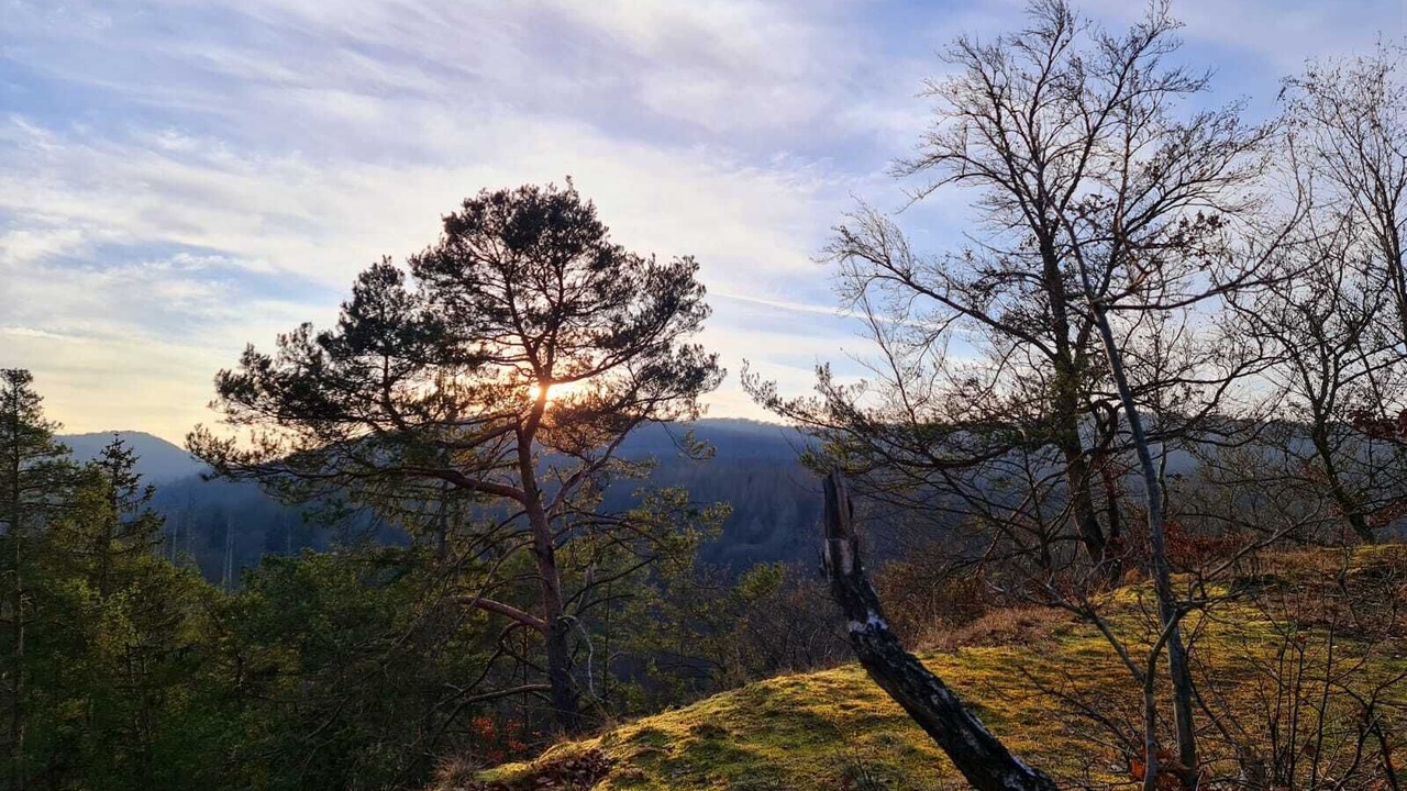 Photo of Others in Hemfurth-Edersee