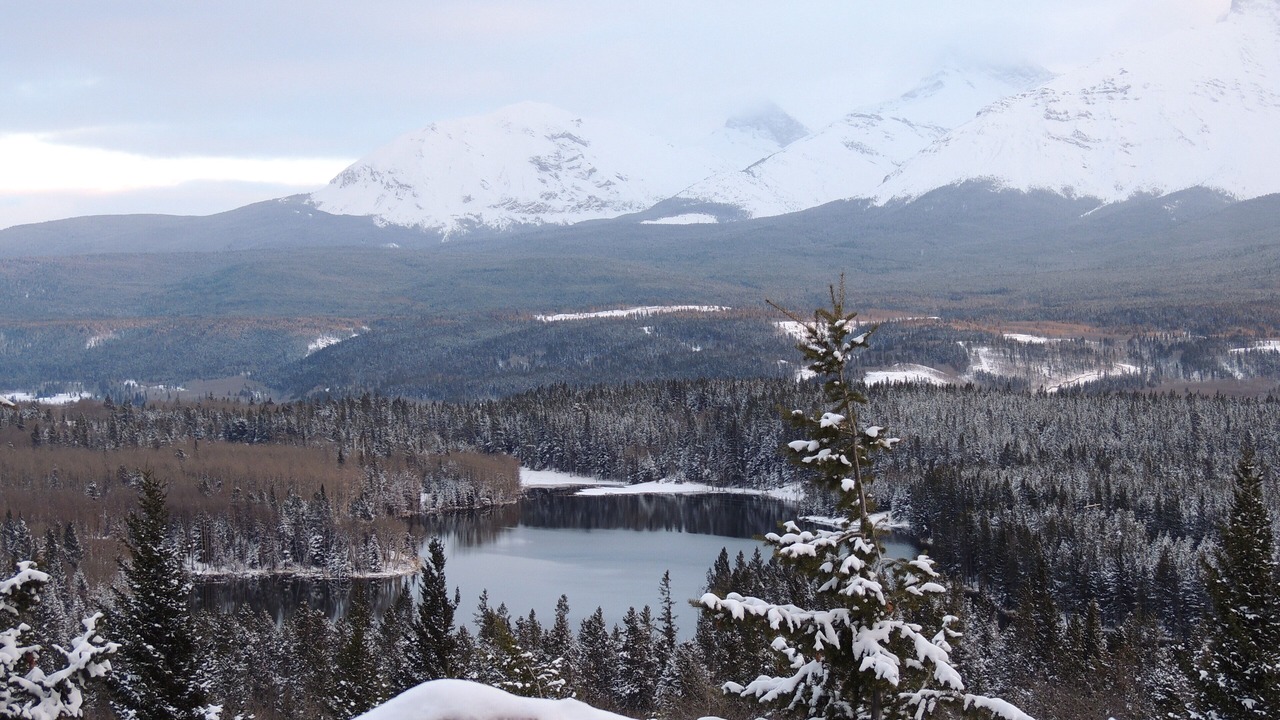 Photo of Others in Alberta