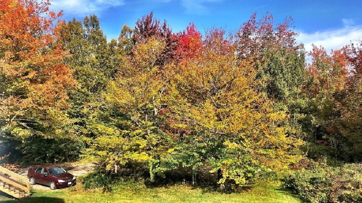 Photo of Outdoor in Ellsworth