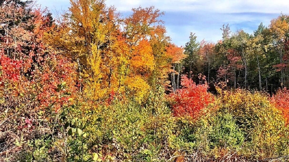 Photo of Outdoor in Ellsworth