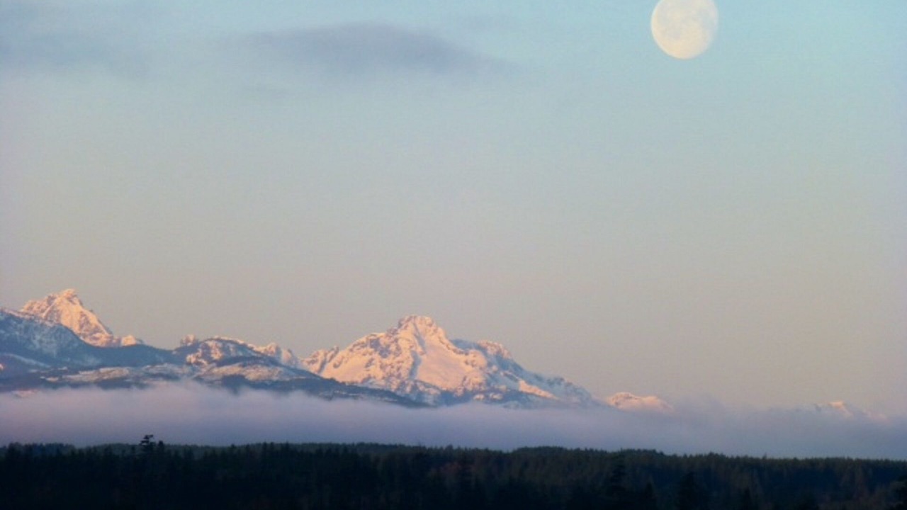 Photo of Others in Quadra Island