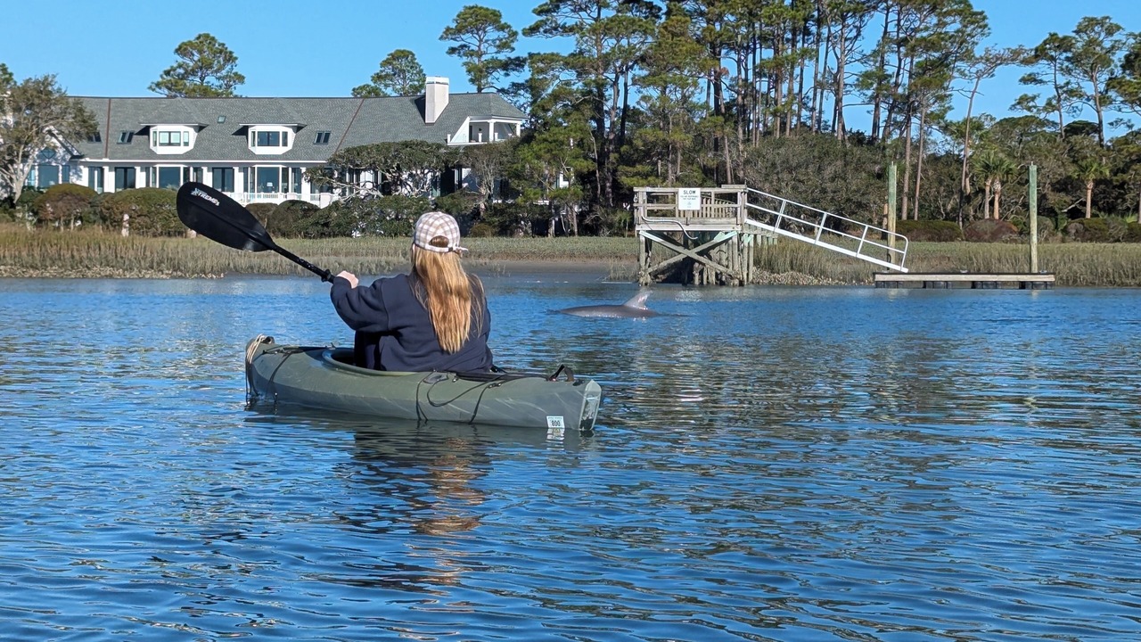 Photo of Others in West Beach