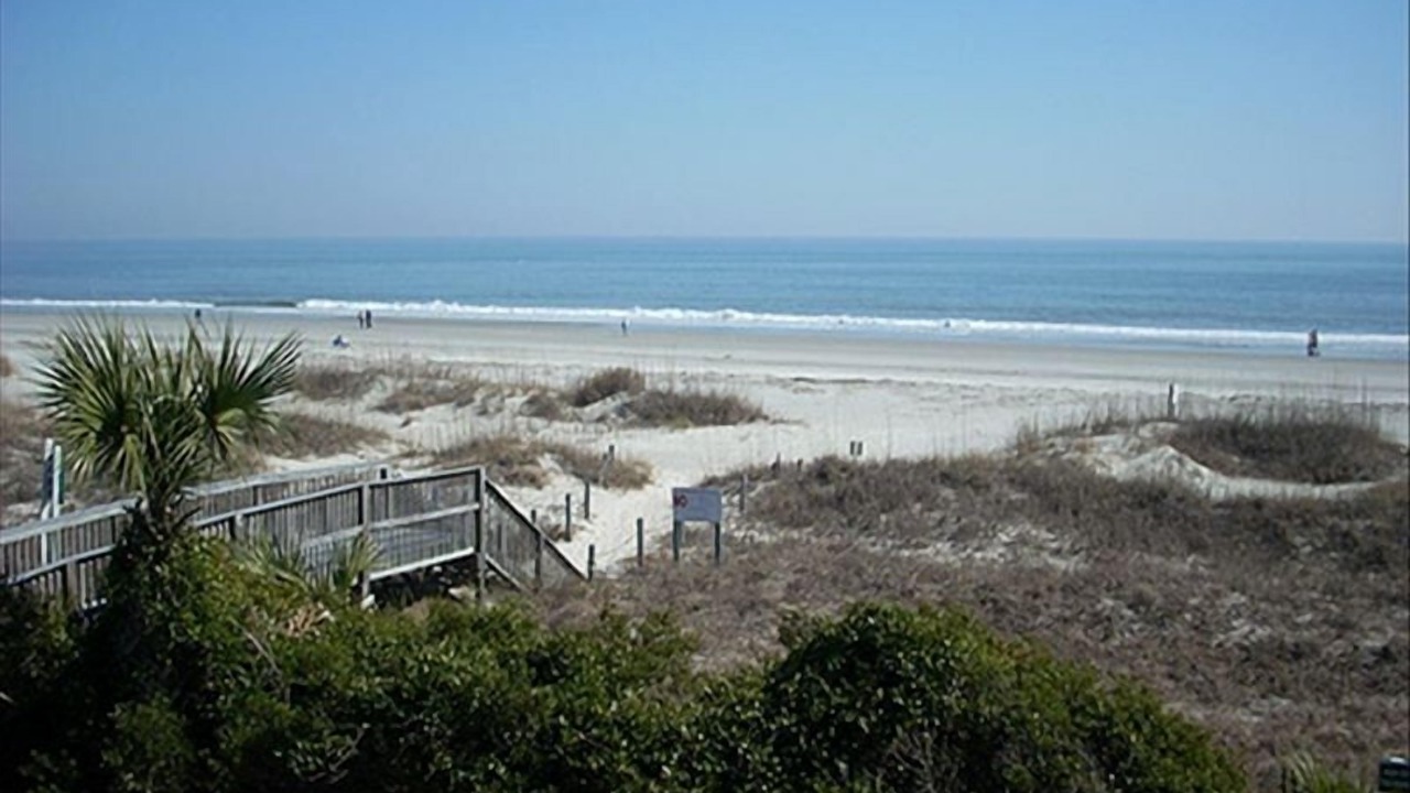 Photo of Others in Folly Field