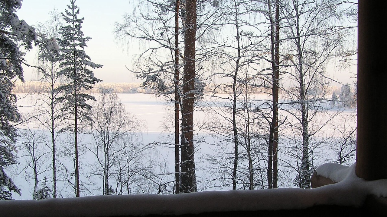 Photo of Others in Pertunmaa