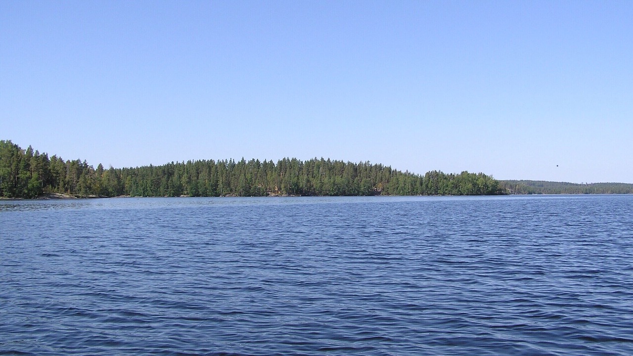 Photo of Others in Pertunmaa