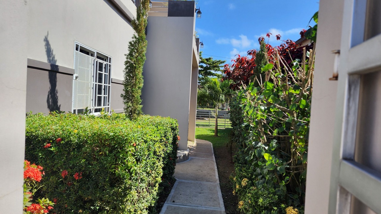 Photo of Outdoor in San Ignacio