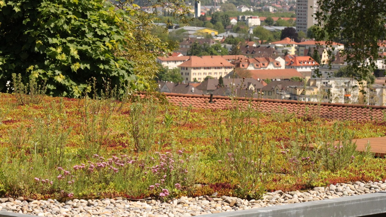 Photo of Outdoor in Loerrach