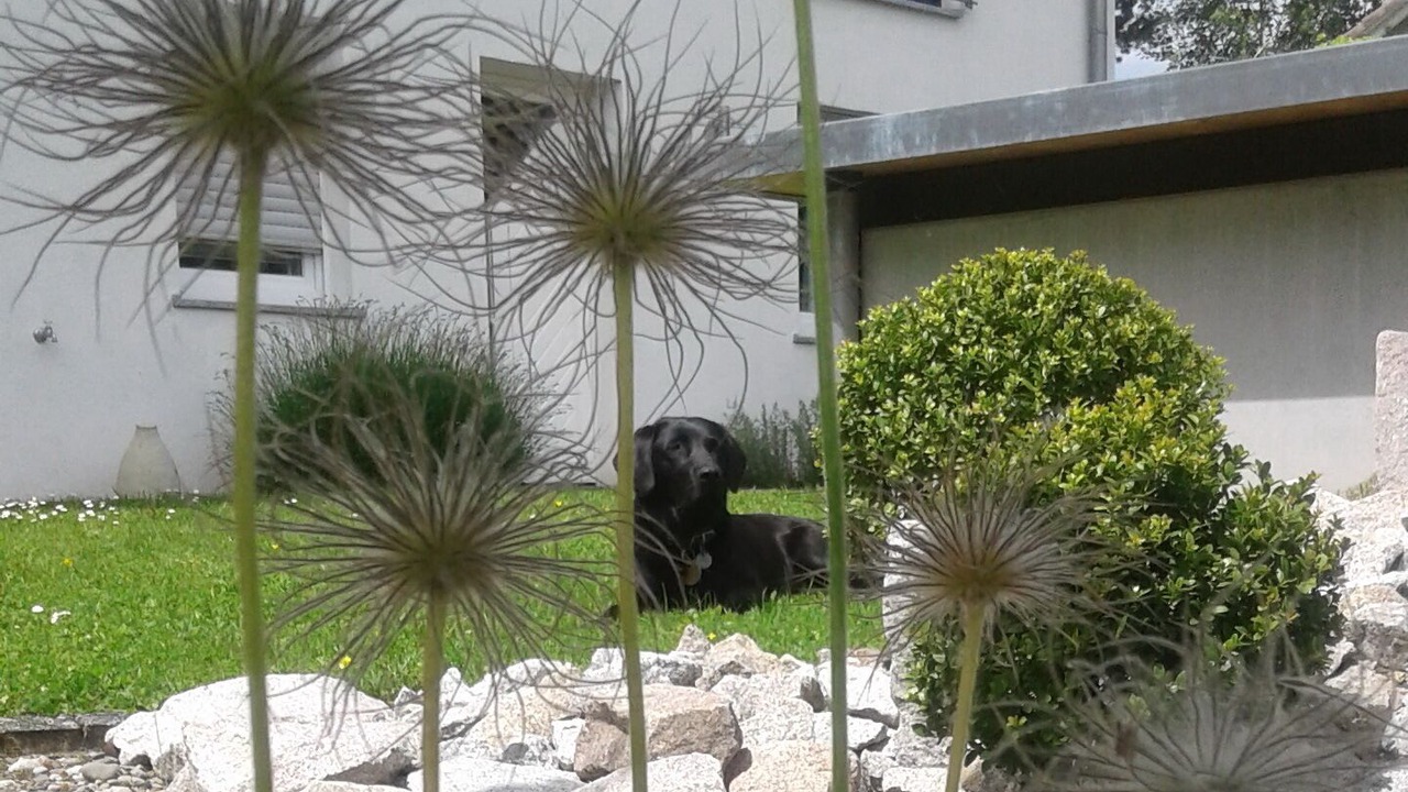 Photo of Outdoor in Loerrach