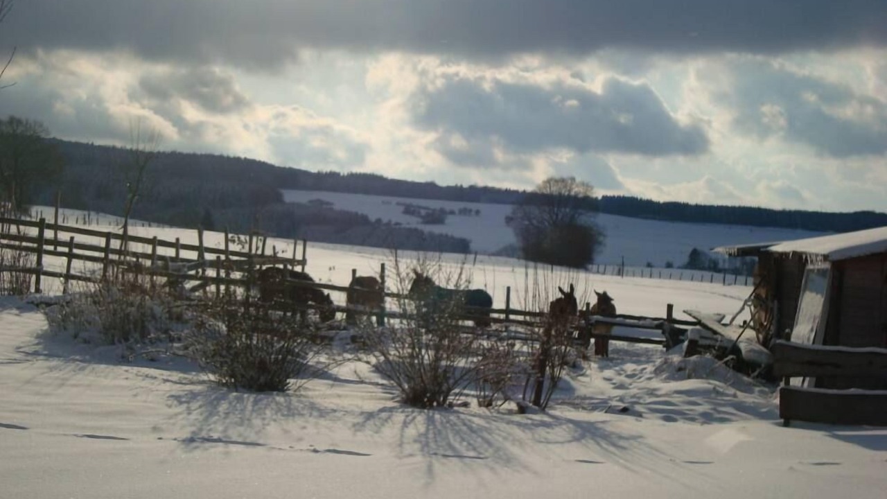 Photo of Others in Lignieres