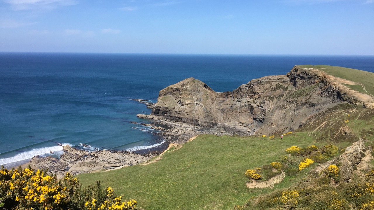 Photo of Others in Widemouth Bay