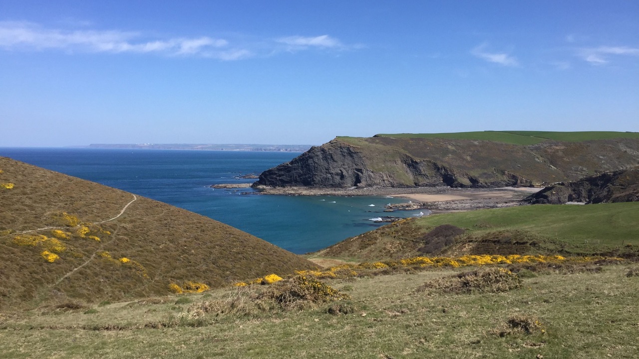 Photo of Others in Widemouth Bay