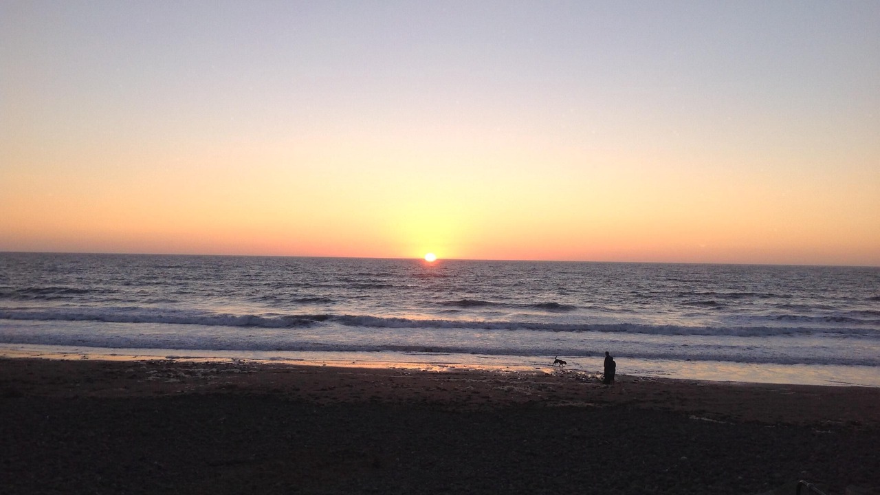 Photo of Others in Widemouth Bay