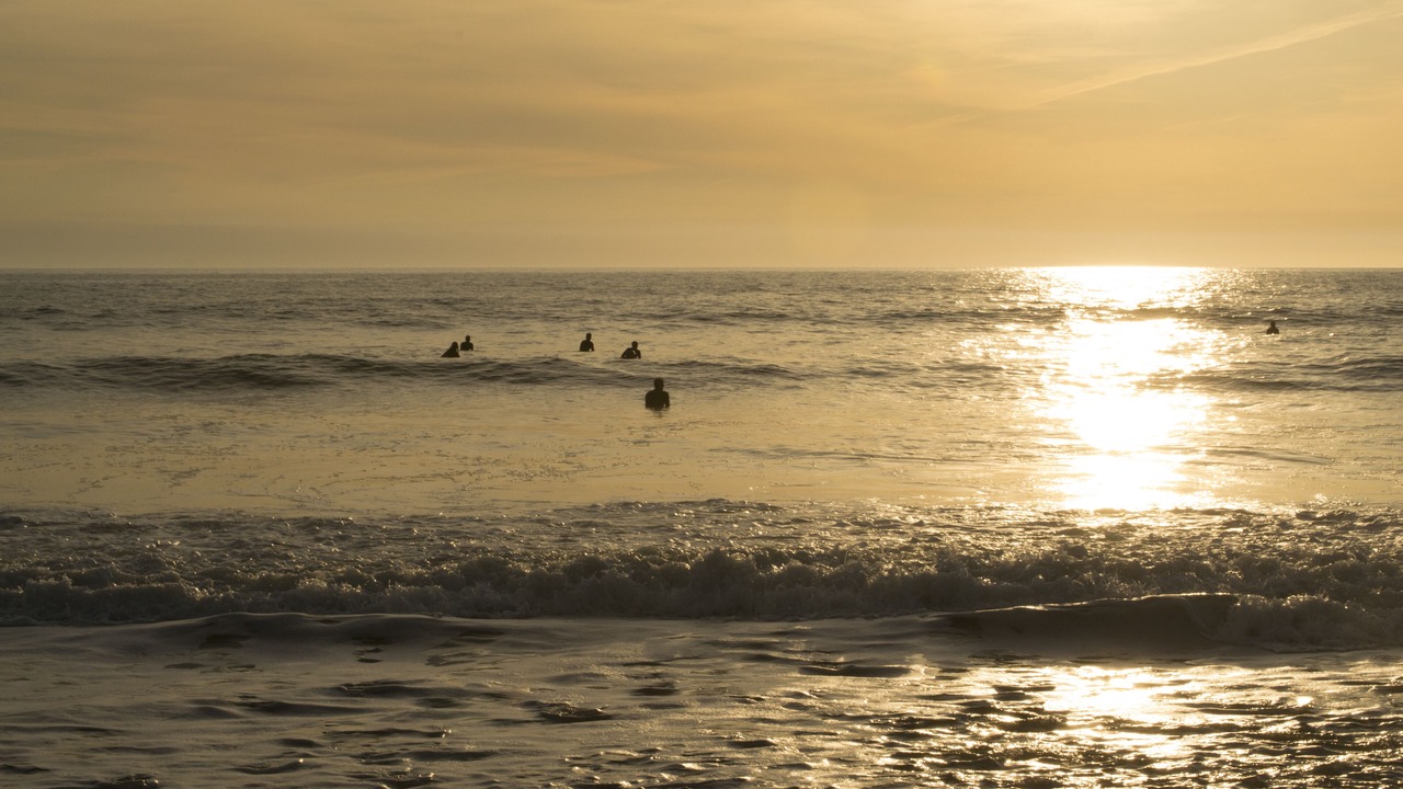 Photo of Others in Widemouth Bay
