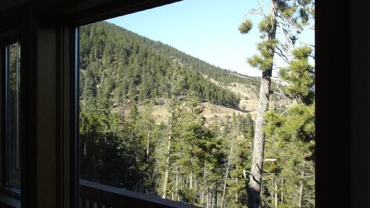 Photo of Bedroom in Evergreen