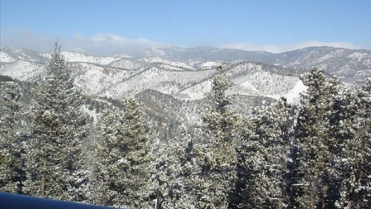 Photo of Others in Evergreen