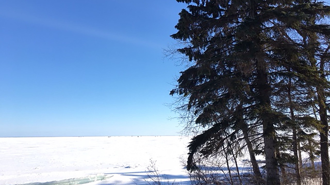 Photo of Others in Manitoba