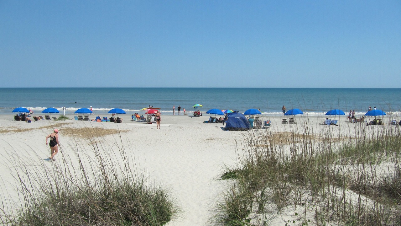 Photo of Others in Palmetto Dunes