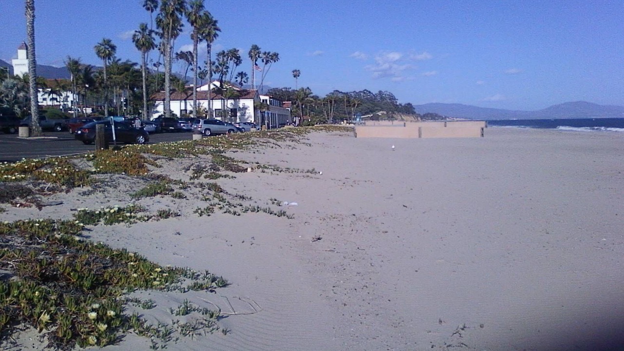 Photo of Others in East Beach
