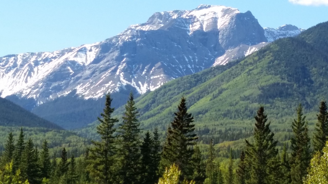 Photo of Others in Brule