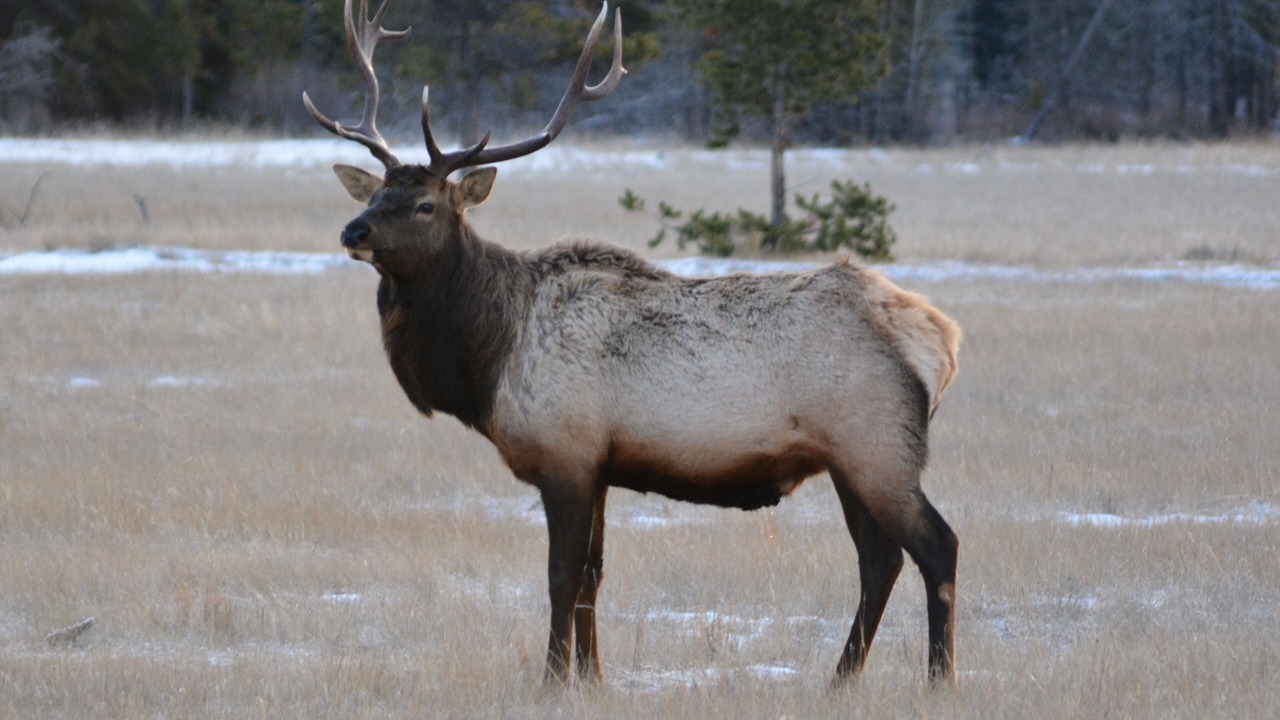 Photo of Outdoor in Brule