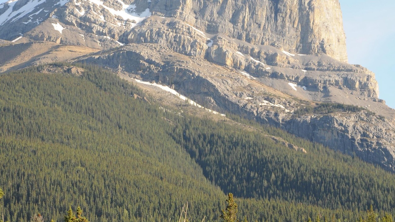 Photo of Outdoor in Brule