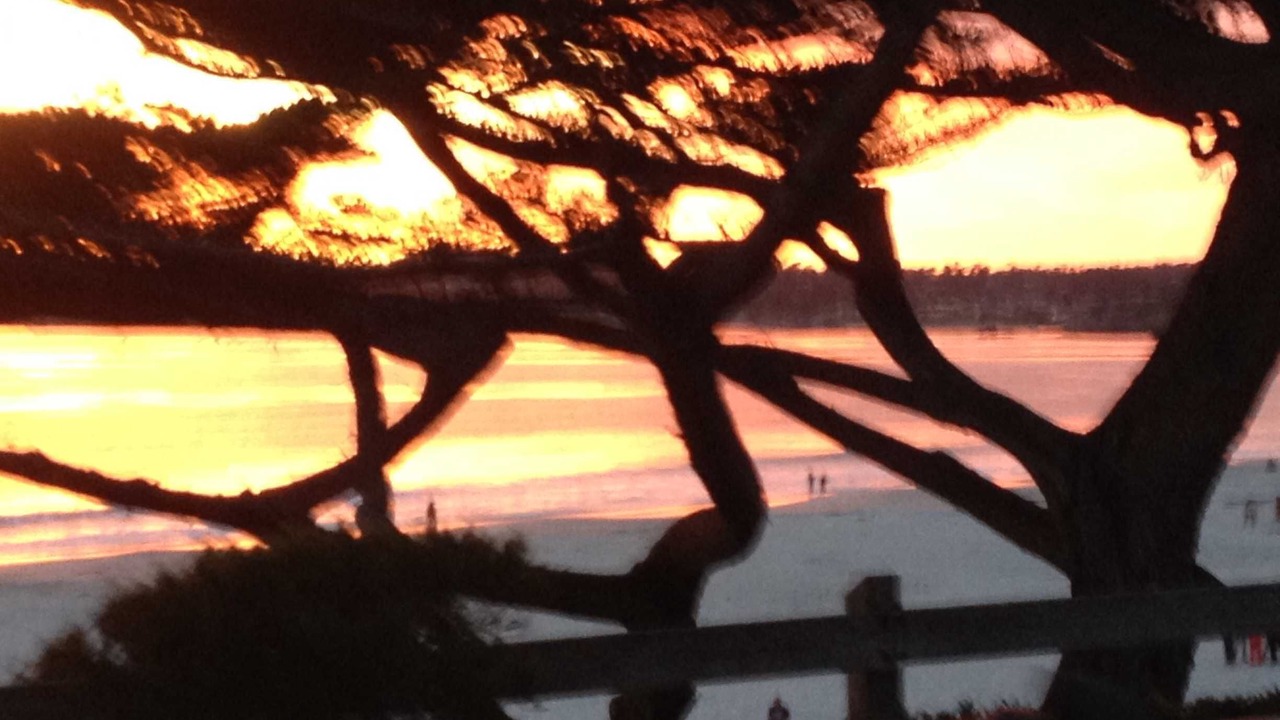 Photo of Others in Carmel Point