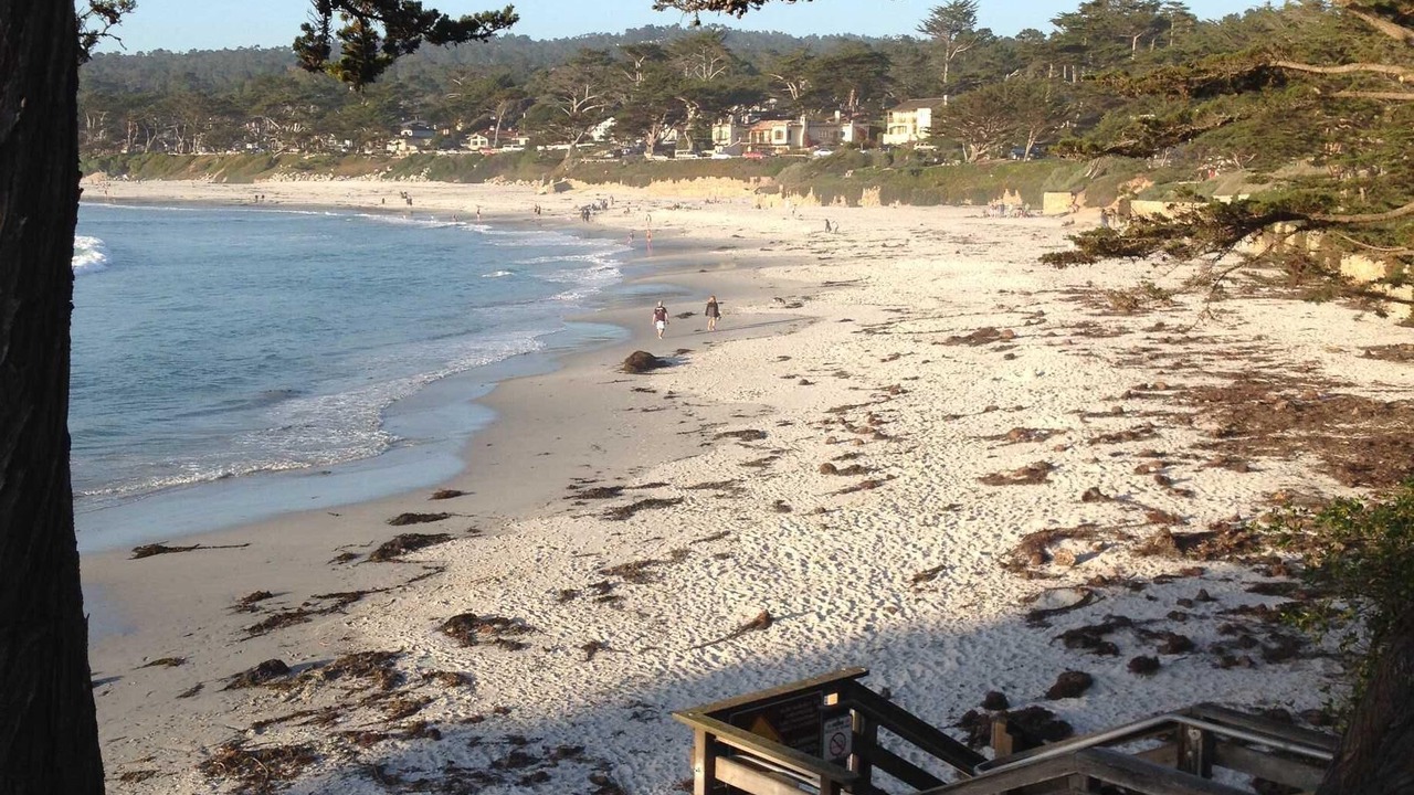 Photo of Others in Carmel Point