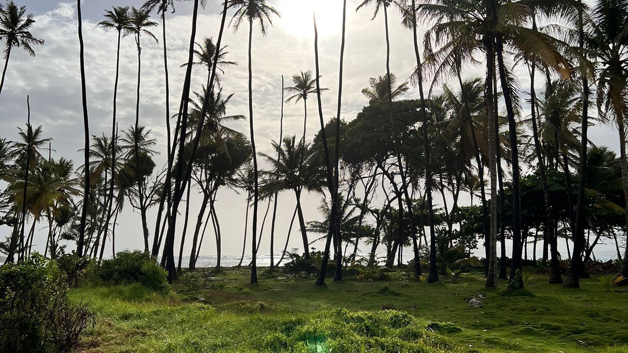 Photo of Others in Park Bay