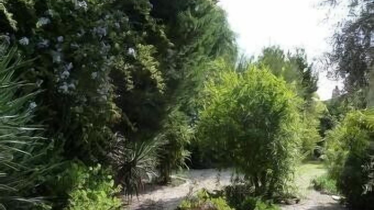 Photo of Outdoor in Hyeres