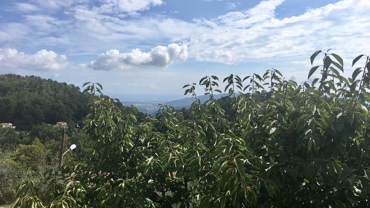 Photo of Outdoor in Cabris