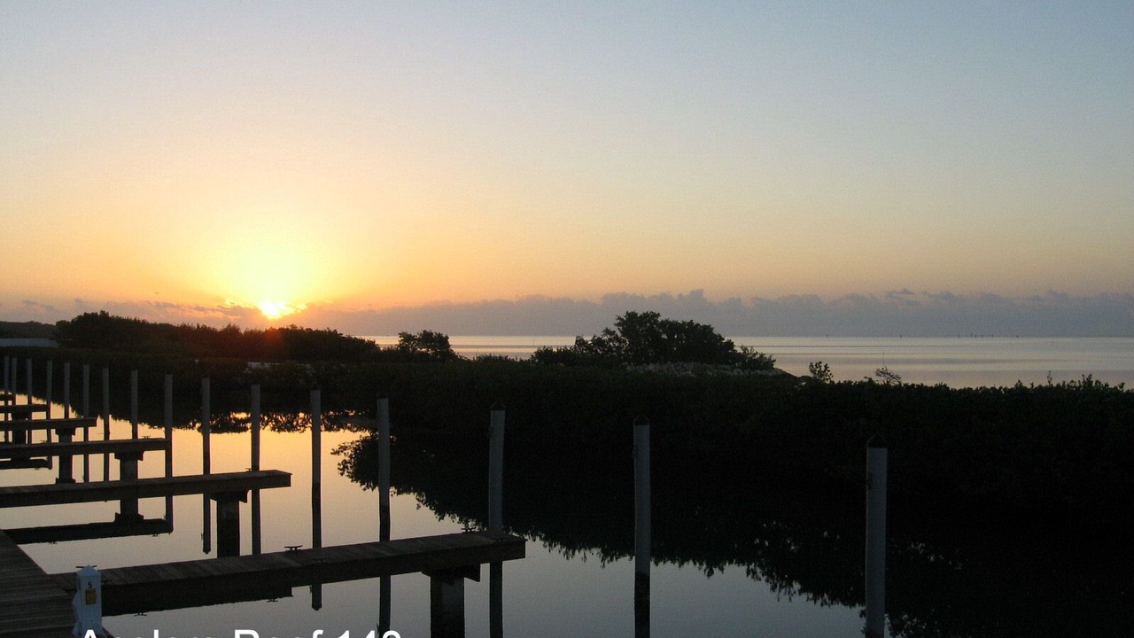 Photo of Others in Islamorada