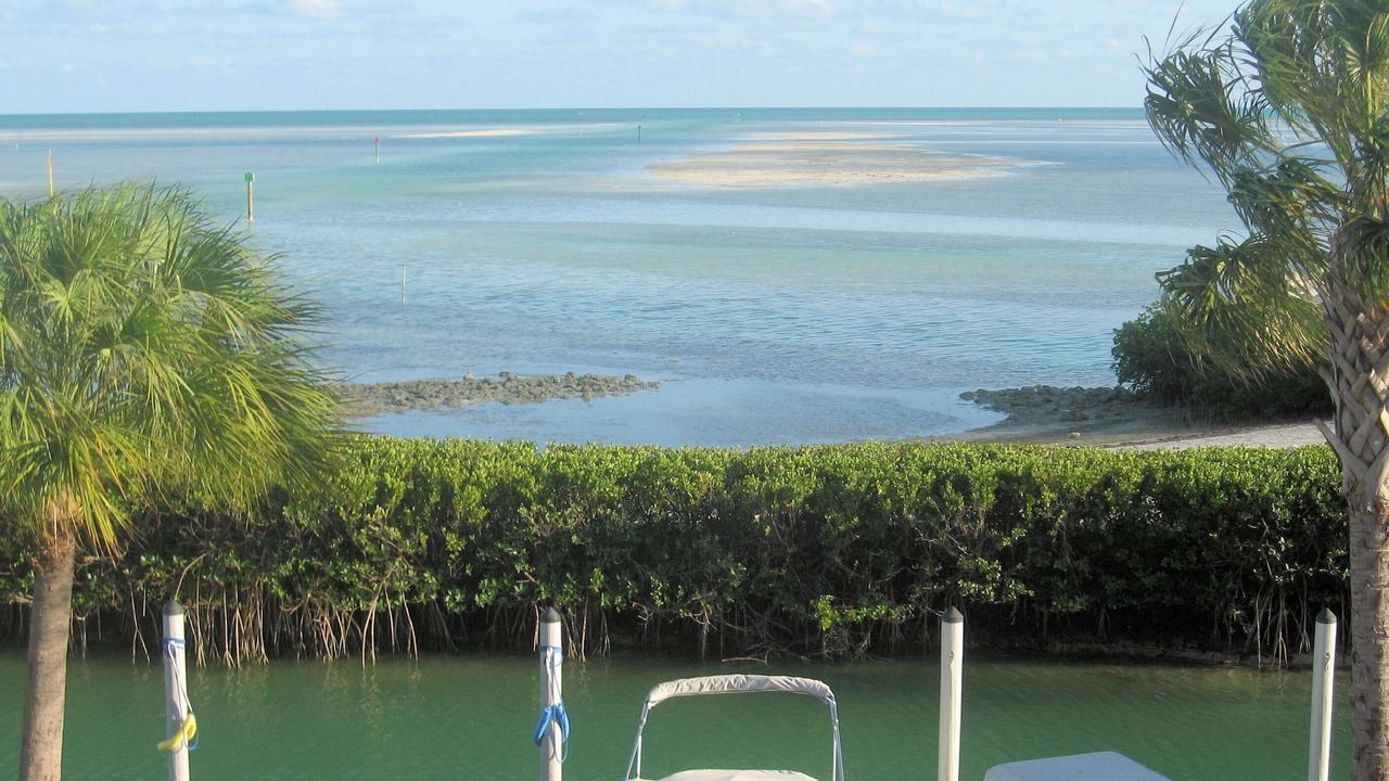 Photo of Others in Islamorada