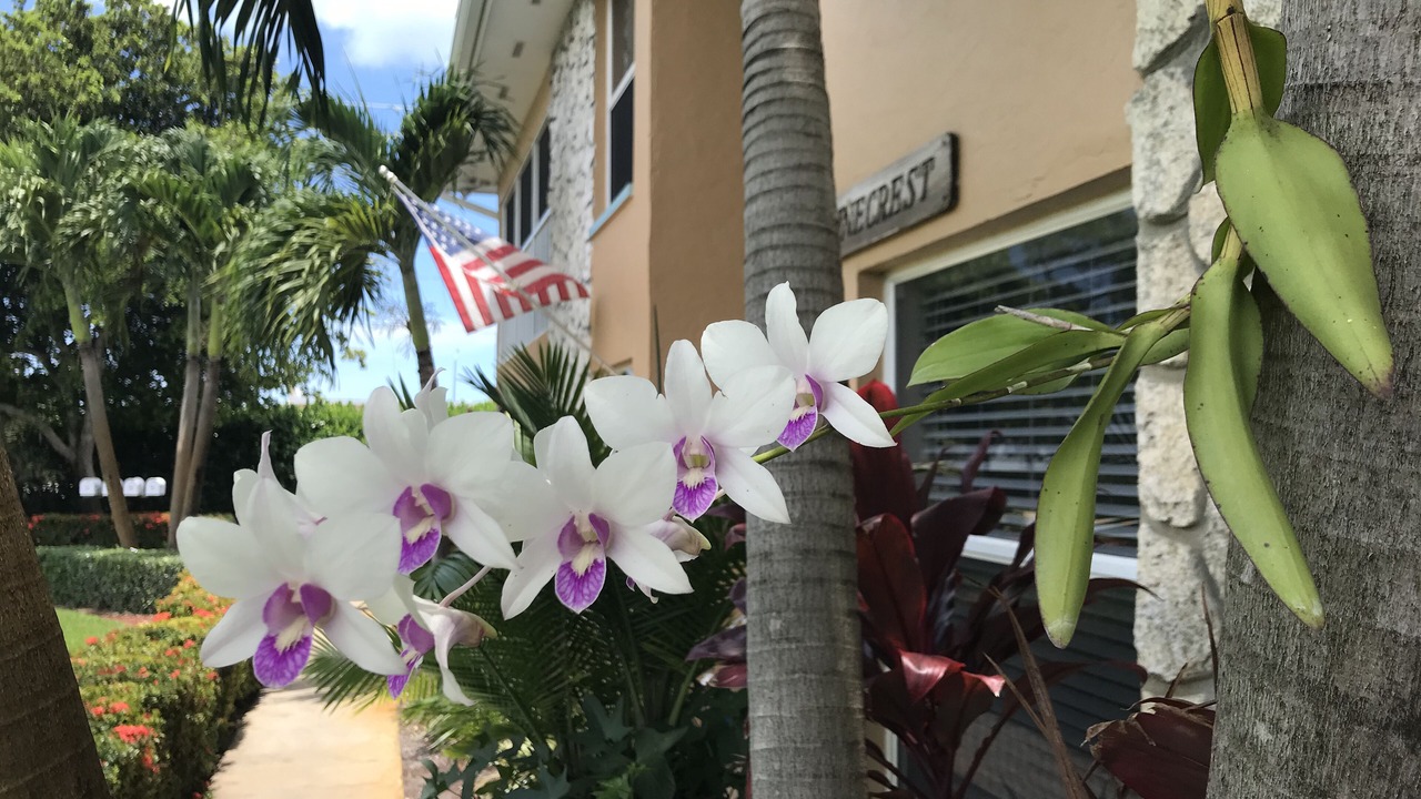 Photo of Outdoor in Central Naples