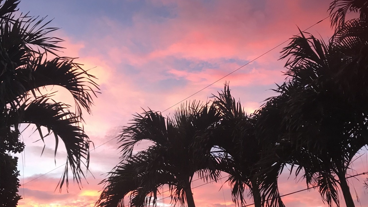 Photo of Outdoor in Central Naples