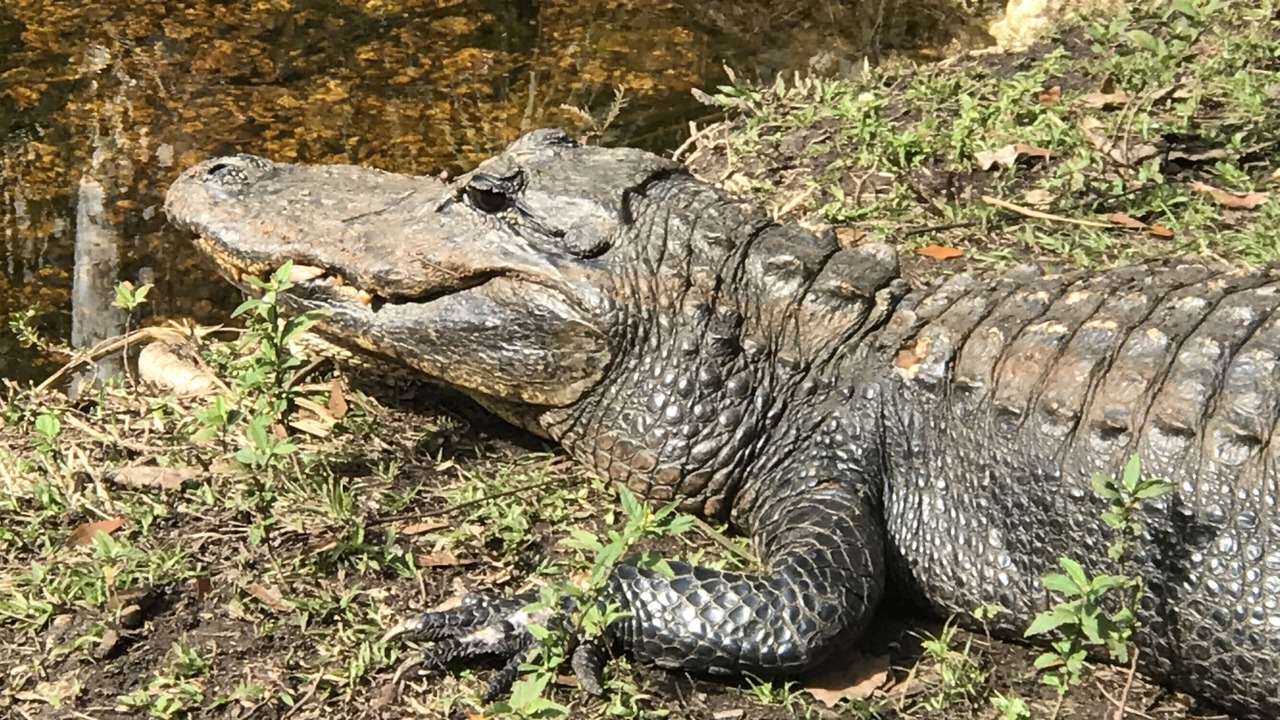 Photo of Outdoor in Central Naples