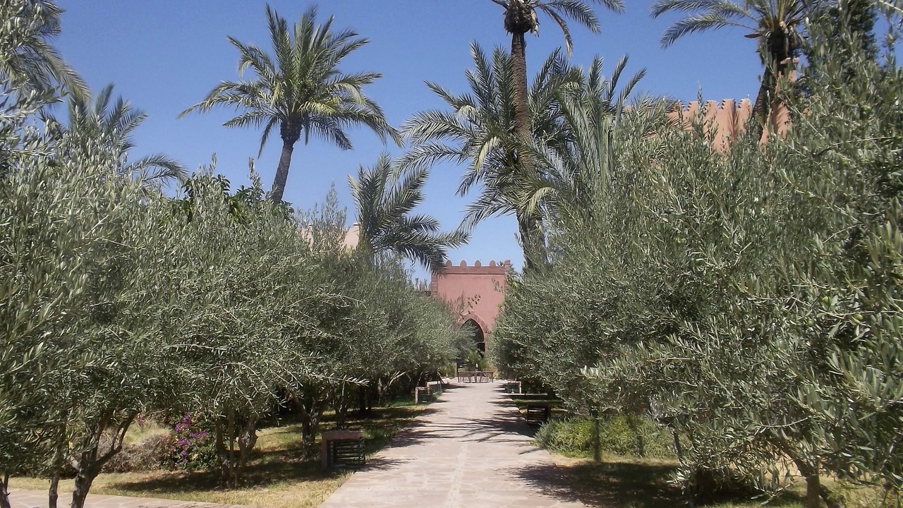 Photo of Outdoor in Palmeraie