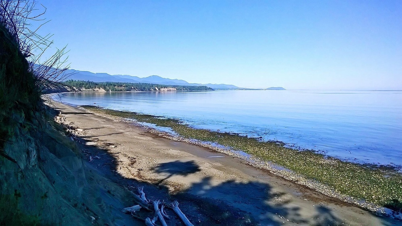Photo of Others in Port Angeles