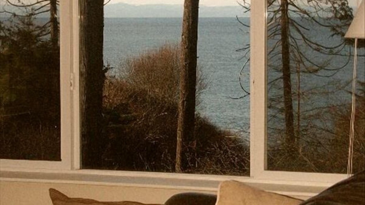 Photo of Others in Port Angeles